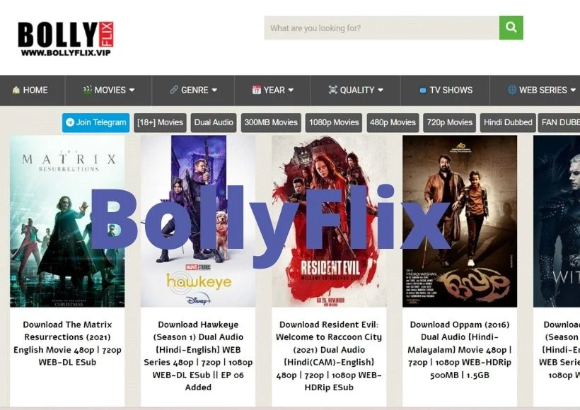 Bollyflix Movie 2025 Everything You Need to Know About Risks, Piracy